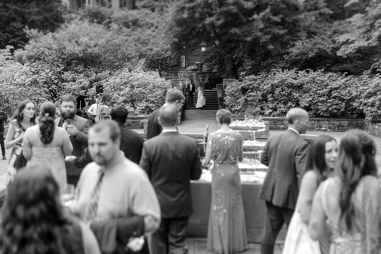 Guests gathering outside in Winterthur's gardens