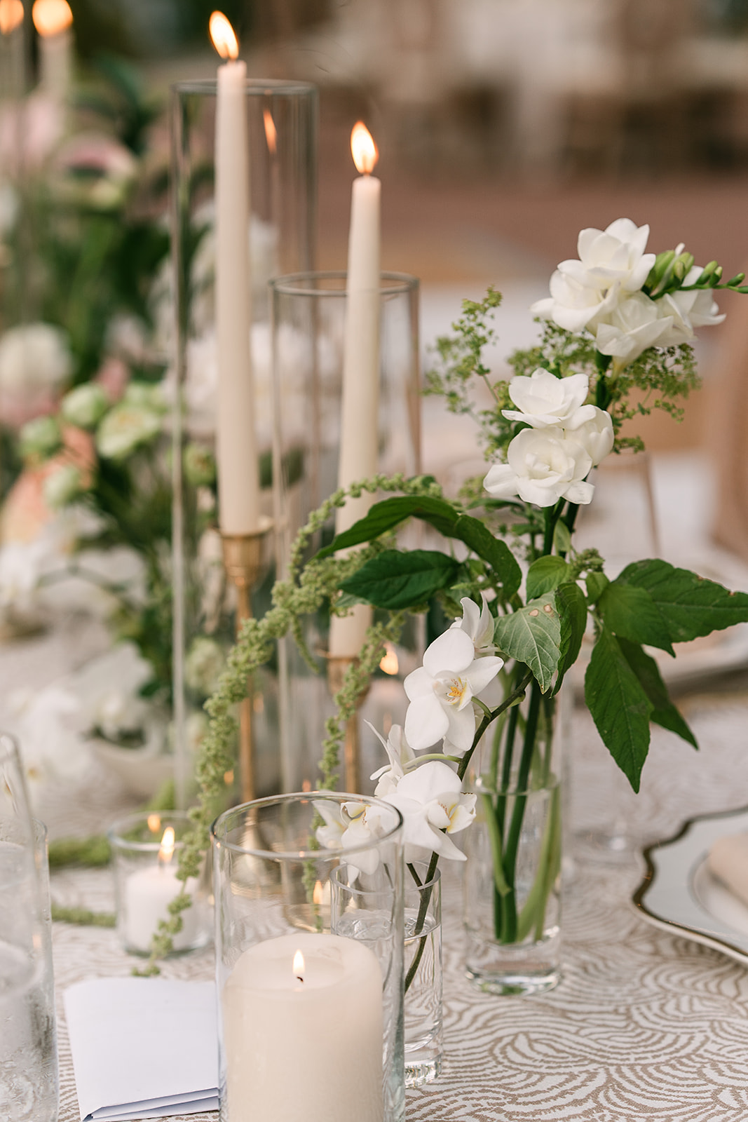 White orchids and dark greenery in the Winterthur reception design
